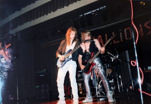 Stallions 