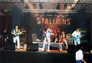 Stallions 
