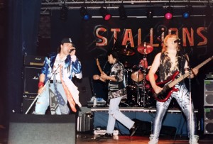 Stallions 