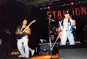 Stallions 
